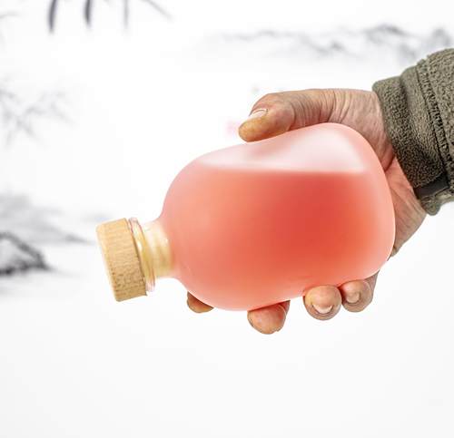 果酒瓶子定制好看的玻璃瓶空瓶泡酒瓶自酿密封酒容器定做创意酒瓶 - 图1