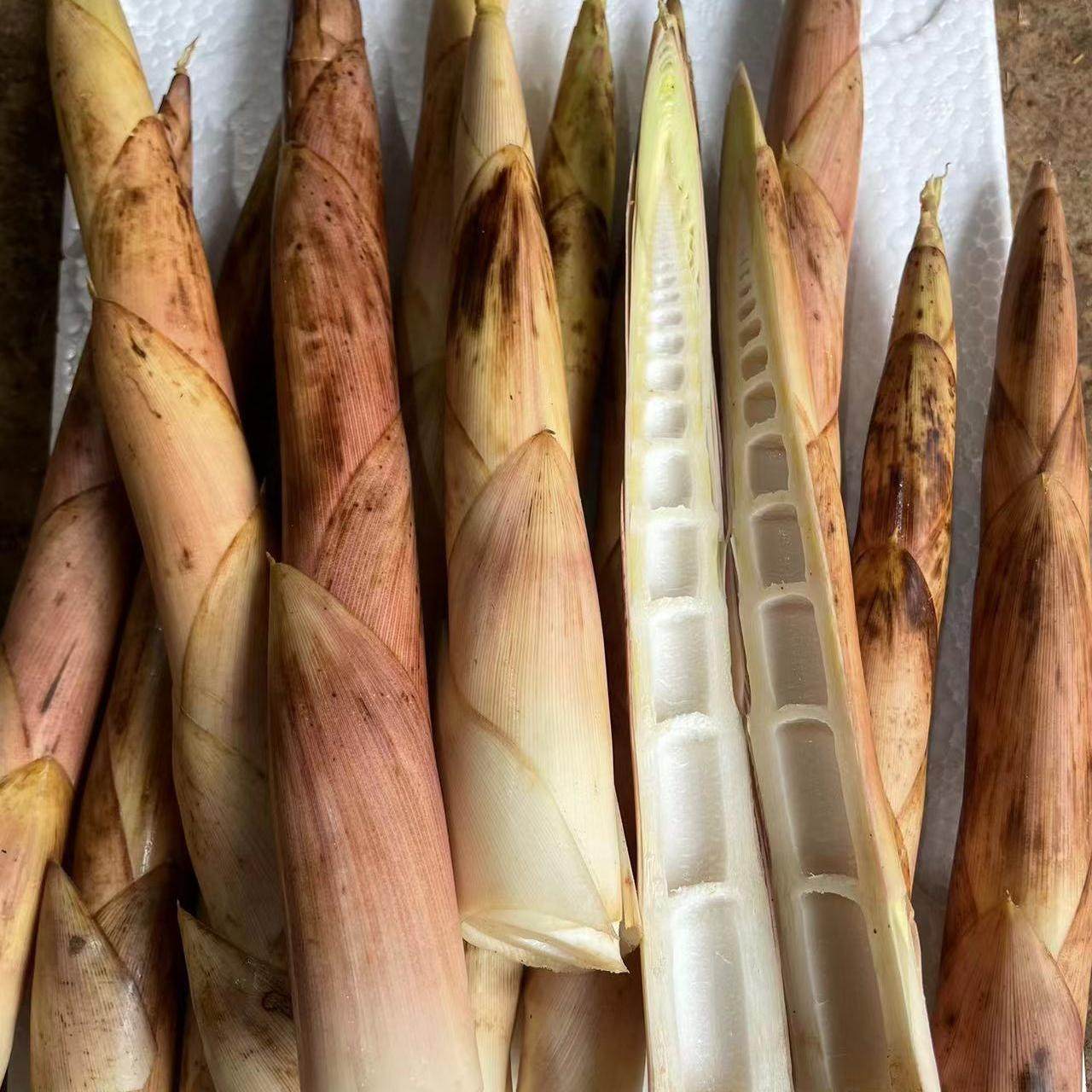小笋（顺丰包邮）新鲜现挖雷竹笋农家春笋根黄泥笋竹笋秋笋老一些,淘宝优惠券,粉丝福利购,淘宝优惠卷