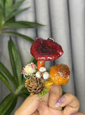 云南蘑菇种子果实真植物diy森系冰箱帖标本伴手礼家居墙面装饰品
