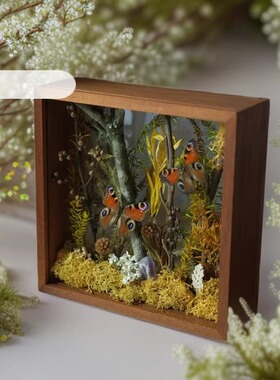 #双面玻璃蝴蝶标本微景观科普儿童昆虫摆件干花植物相框个性礼物