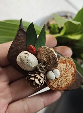 新款 云南大理苍山果实冰箱贴森系磁铁风干刀角豆底座装饰摆件