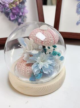 新款%永生花海胆贝壳小夜灯海洋文创手工伴手礼ins灯生日礼物摆件