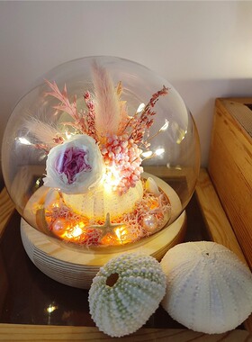 diy永生花海胆灯材料包贝壳干花微景发光摆件手工活动小夜灯送礼