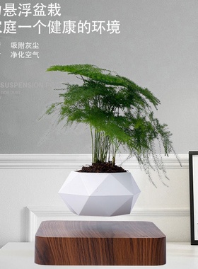 办公室情绪稳定治愈解压神器工作创意小摆件磁悬浮小盆栽花盆绿植