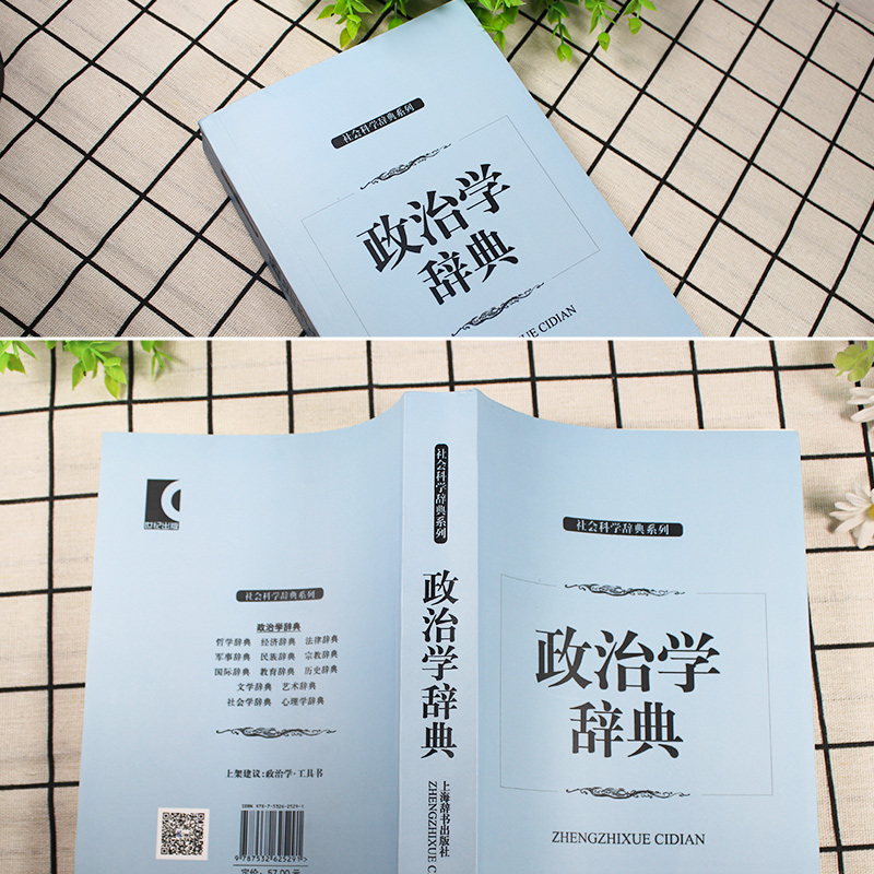 政治学辞典 王邦佐著 社会科学辞典系列 上海辞书出版社 政治学理论 政治制度 政治学习 政治研究 政治学POD - 图1