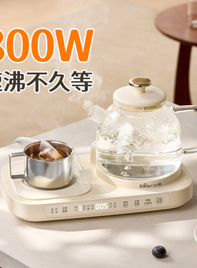 全玻璃养生壶办公室小型煮茶壶