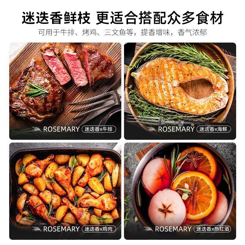 迷迭香新鲜煎牛排用调味料香料250g包邮迷迪香百里香组合食用装饰 - 图2