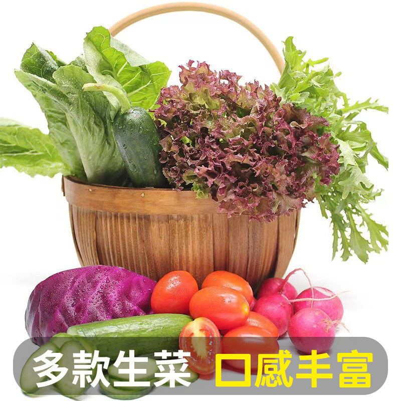 蔬菜沙拉蔬菜新鲜组合套餐健身混合装西餐沙拉轻食材生吃沙拉生菜 - 图1