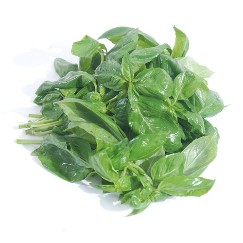 新鲜甜罗勒叶食用披萨草调味调料泰式香料菜青酱食材非九层塔蔬菜 - 图3