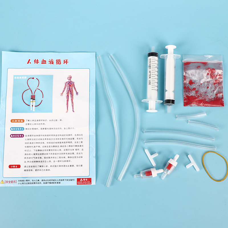 科技小制作学生物毛细血管人体血液循环模型 科学实验器材手工DIY - 图0