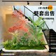 A complete set of simulated green plants and landscaping combinations