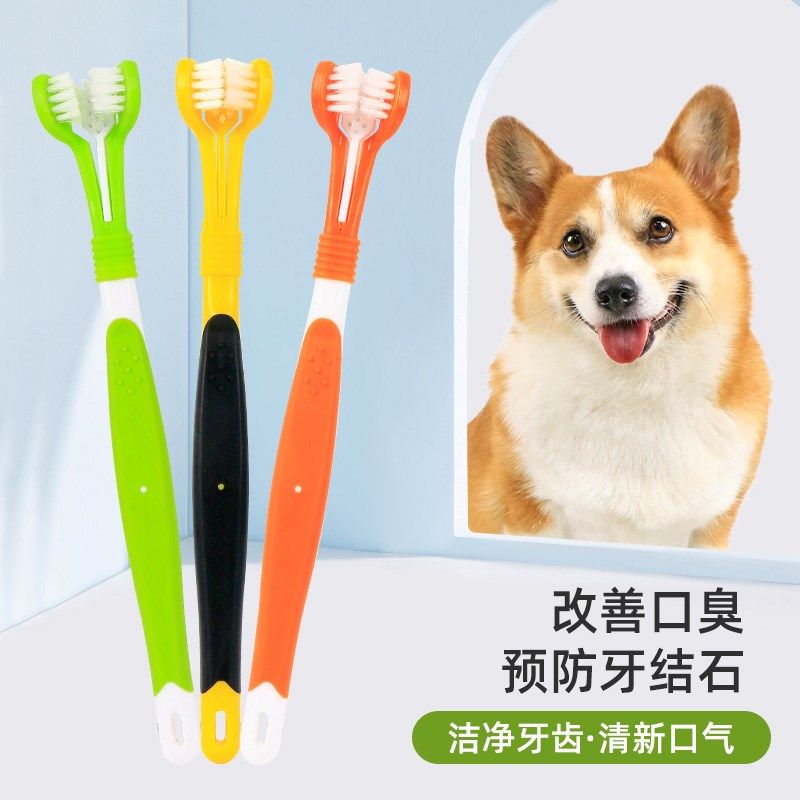 宠物狗狗牙刷牙膏套装可食用小型犬除口臭牙结石刷牙口腔牙齿清洁,淘宝优惠券,粉丝福利购,淘宝优惠卷