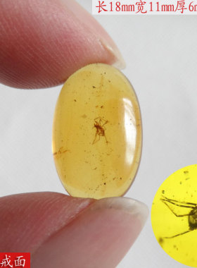 缅甸琥珀知足常乐支持鉴定戒面