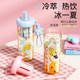 Fuguang New PPSU Summer Portable Straw Cup