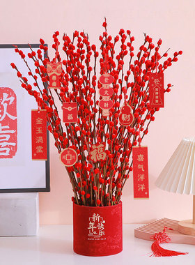 银柳真干花鲜枝水培植物红色年宵花卉福抱抱桶客厅新年摆件2025蛇