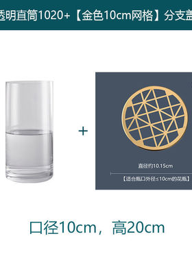 花瓶插花器网红金属架构水养透明玻璃花瓶家居装饰摆件客厅