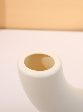 ins风塑料花瓶摆件现代抽象异形客厅家居民宿装饰品花器厂家批发