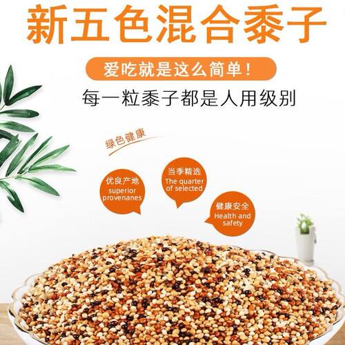 虎皮鹦鹉饲料鸟食玄凤谷子牡丹粮食文鸟黍子混合鸟粮包邮5斤包邮 - 图0