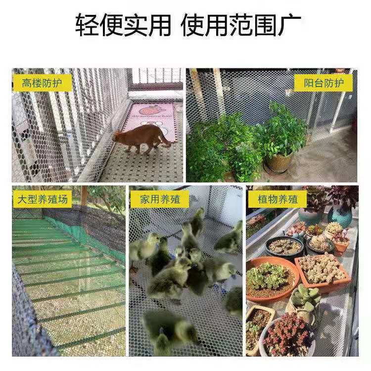 小孔加厚塑料网片阳台防护封窗安全防坠网养殖育雏网床鸡鸭鹅鱼塘 - 图2