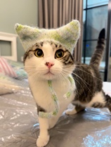 Pet Cat Ears Wool Line Cap Custom Pooch Universal