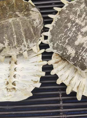 鳖甲500克g生鳖甲别甲甲鱼壳龟壳非野生制鳖甲中药材免费磨鳖甲粉