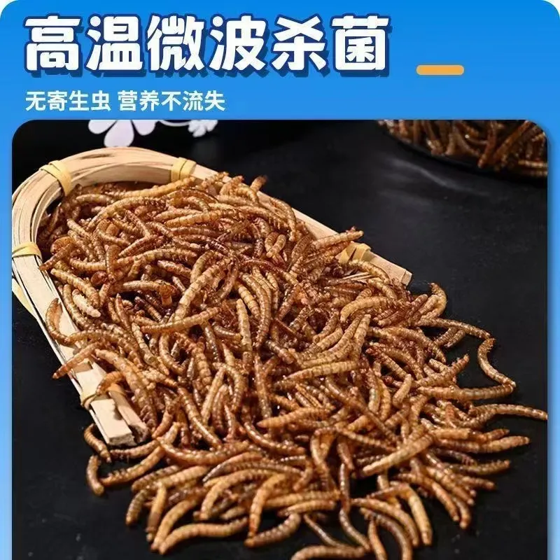 珍珠鸟面包虫干文鸟鸟粮零食金山珍珠小珍珠锦华雀幼鸟通用营养粮,淘宝优惠券,粉丝福利购,淘宝优惠卷