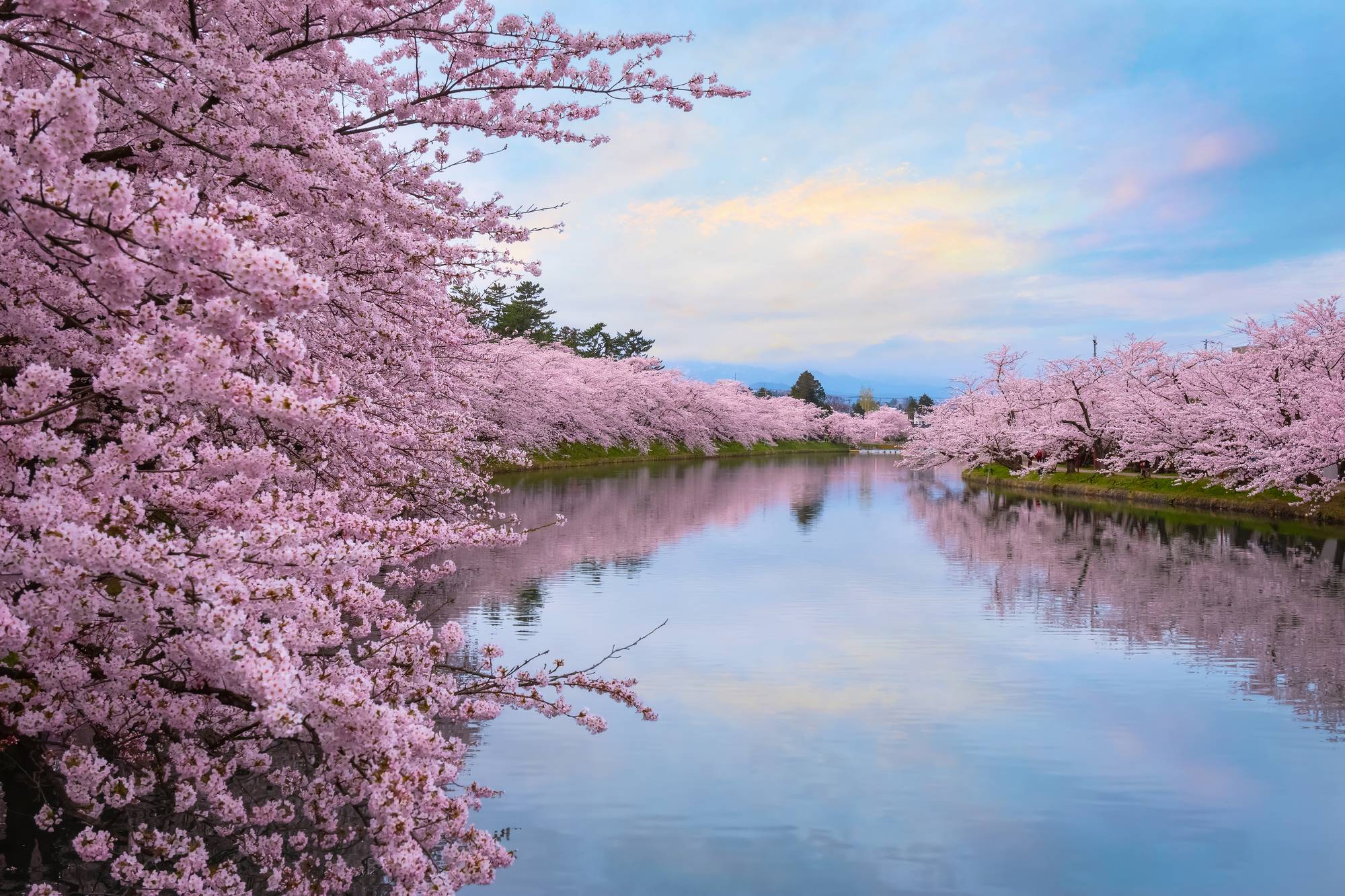 【中青旅】暑含机票日本旅游7天东京奈良京都大阪含2/3晚温泉酒店 - 图1