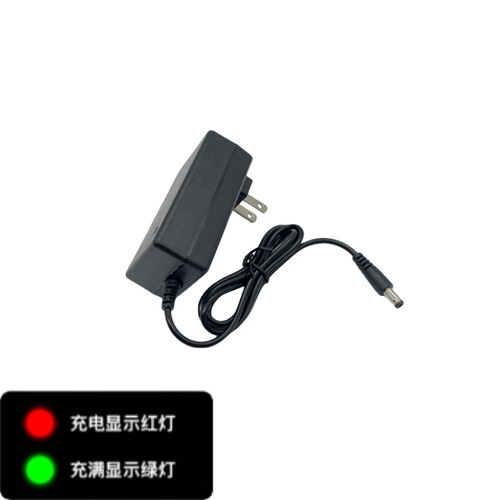 无线洗车机高压水枪充电器21V24V25V48V168V998VF锂电池充电器线 - 图0