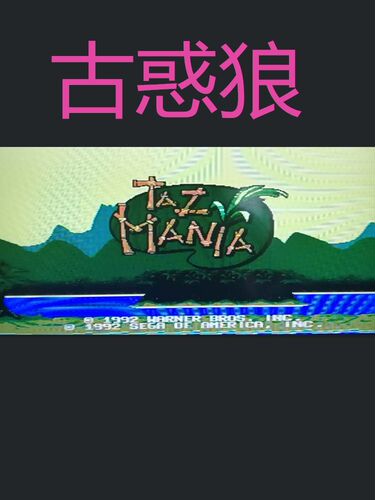 16位游戏卡黑卡世嘉卡古惑狼 - 图1