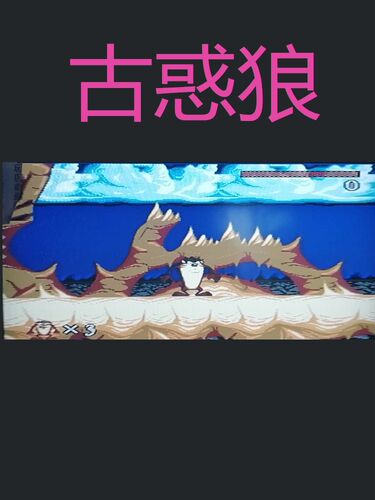 16位游戏卡黑卡世嘉卡古惑狼 - 图3
