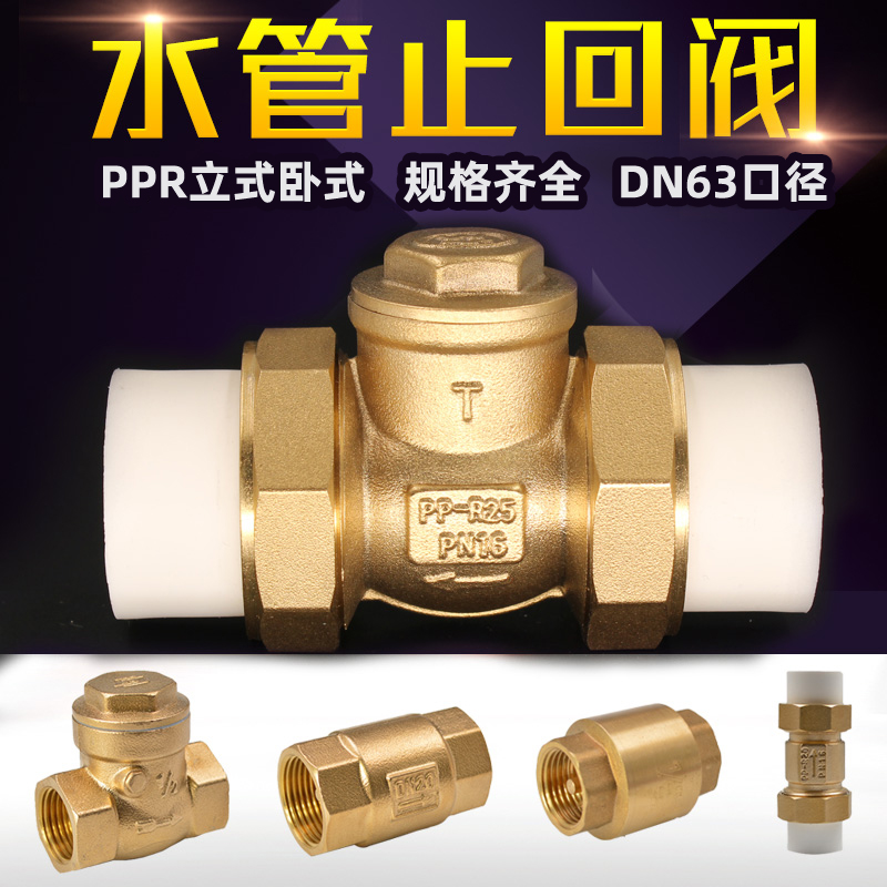 PPR水管止回阀4分6分1寸PE双活接卧式逆止阀内外丝水表立式单向阀_虎窝淘