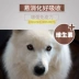 Thức ăn cho chó Chó trưởng thành Samoyed ở chó lớn lông đặc biệt làm đẹp để xé thực phẩm tự nhiên 30 kg thịt bò hương vị thức ăn cho chó - Chó Staples cám royal canin Chó Staples
