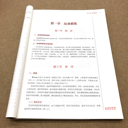 【出版社直销】人体解剖学   邵水金 著 新世纪第四4版 全国中医药行业高等教育十三五规划教材中医药院校第十版 中国中医药出版社 - 图2