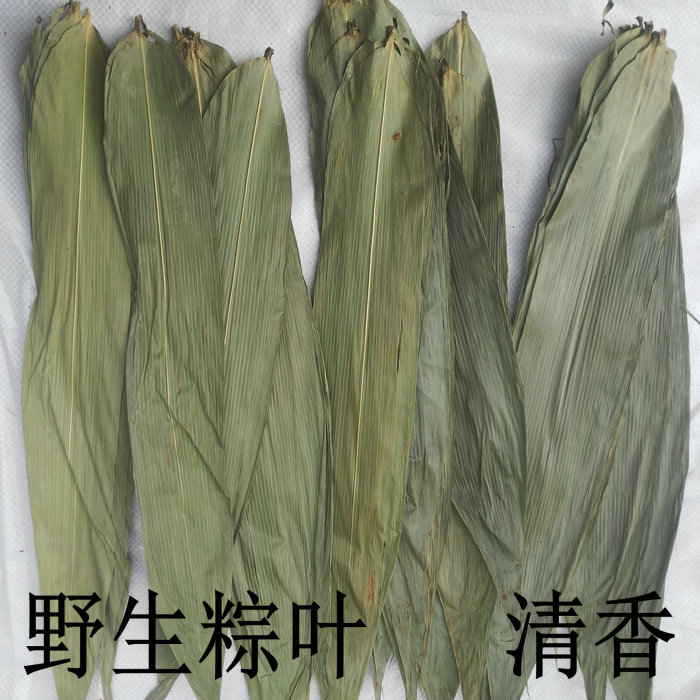 新货清香粽叶麻竹叶14-50斤端午新粽子叶干货散装整捆批7公分统货 - 图0