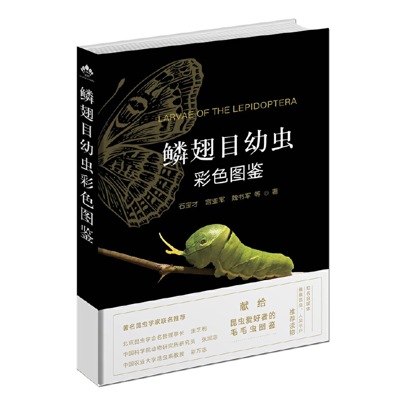 蝴蝶图鉴 158种蝴蝶与60种蛾类的特征图鉴图解珍藏科普读物指南野外观蝶鸟蝴蝶文化与鉴赏家族生态图解动植物自然科普百科书籍