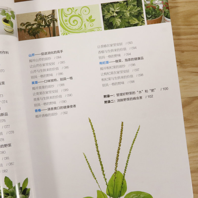 4本39包邮 手把手教你开心种野菜新手家庭阳台种菜种植技术四季蔬分辨菜园书籍识吃野菜十二个月的28天吃上自己种的菜 - 图2