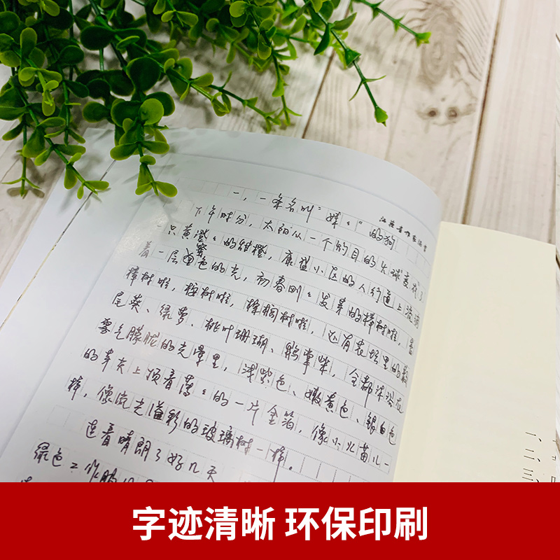 你是我的宝贝 正版黄蓓佳倾情小说 中国出版政府奖图书提名奖中华优秀出版物奖全国优秀儿童文学奖 - 图1