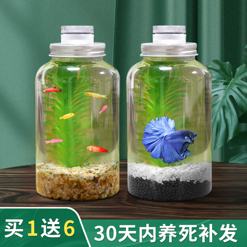 创意水族箱生态瓶微景观造景斗鱼缸免换水免打理桌面DIY造景鱼缸-图0