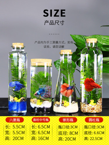 生态瓶鱼微景观免换水斗鱼瓶生态鱼瓶水族宠物斗鱼活体专用缸diy - 图1