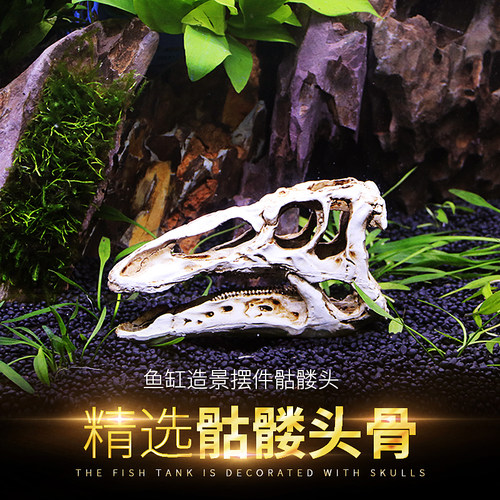仿真恐龙头骨鱼缸造景躲避屋树脂爬宠仿真骷髅头骨水族箱装饰摆件 - 图0