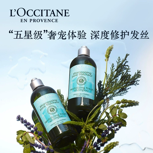 L'occitane, травяной шампунь, лечебный комплект подходит для вьющихся волос для кожи головы, уход за волосами, предотвращение ломкости волос