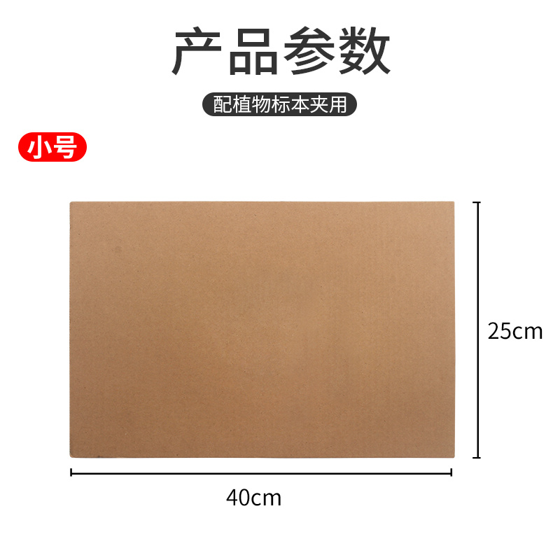 植物标本夹树叶夹专用50x35/45x30/40x25cm双层透气瓦楞纸学生生物科学室外自然实验标本制作工具教学仪器 - 图2