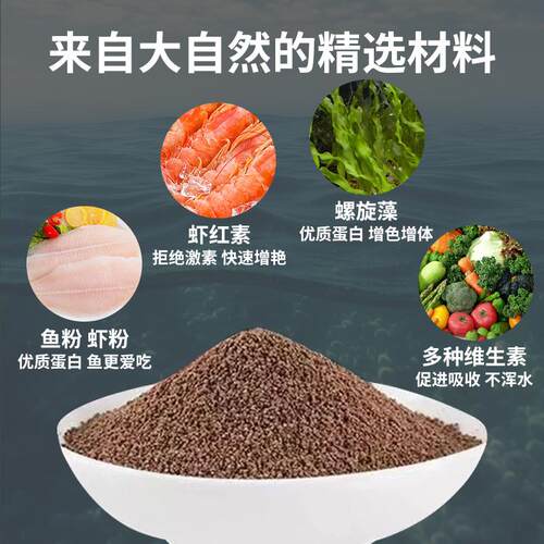 小型鱼专用饲料孔雀鱼斗鱼高蛋白鱼粮凤尾鱼小颗粒观赏增色鱼饲料 - 图1