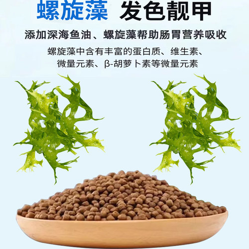 小型鱼专用饲料孔雀鱼斗鱼高蛋白鱼粮凤尾鱼小颗粒观赏增色鱼饲料 - 图3