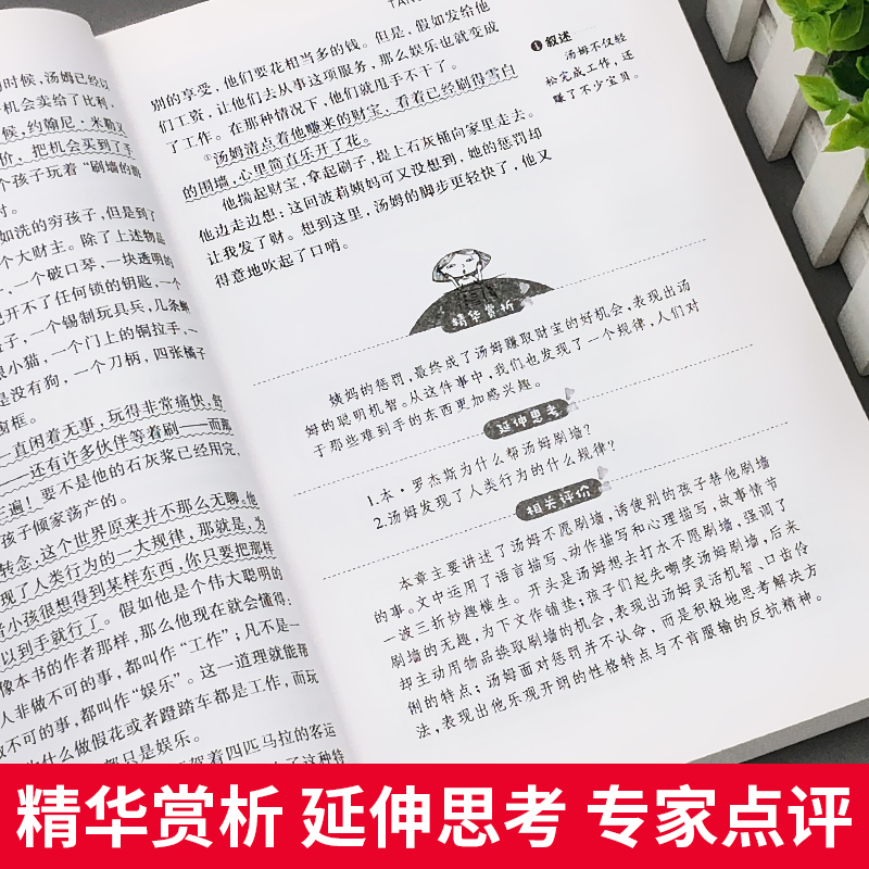 汤姆索亚历险记正版原著马克吐温作品语文课程化阅读名著人民文学教育读本天地出版社青少年版五年级六年级课外书下册必读完整版td - 图2