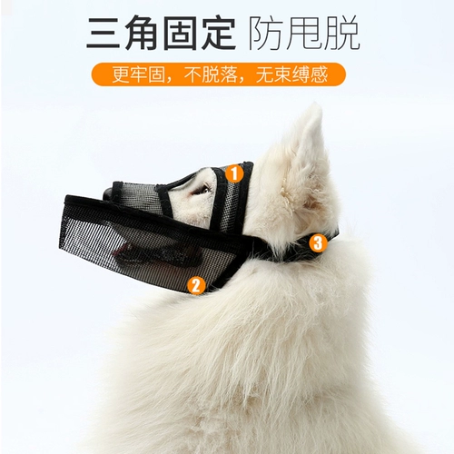 Зазор 9,9 корпус рта собаки может выпить воду, чтобы предотвратить укусы и есть случайно называемая кампания из золотистого капилляра