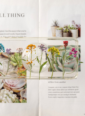 香雪球真花教学手工植物标本diy