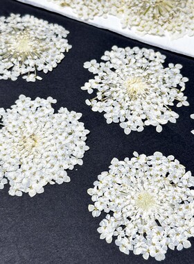 干花亲子diy压花画花朵素材料
