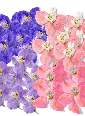 千鸟滴胶diy书签材料真押花相框