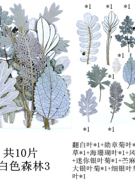 干花干叶片白色混合包